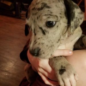 Meet your Posher, Christina